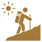 Walking Tours